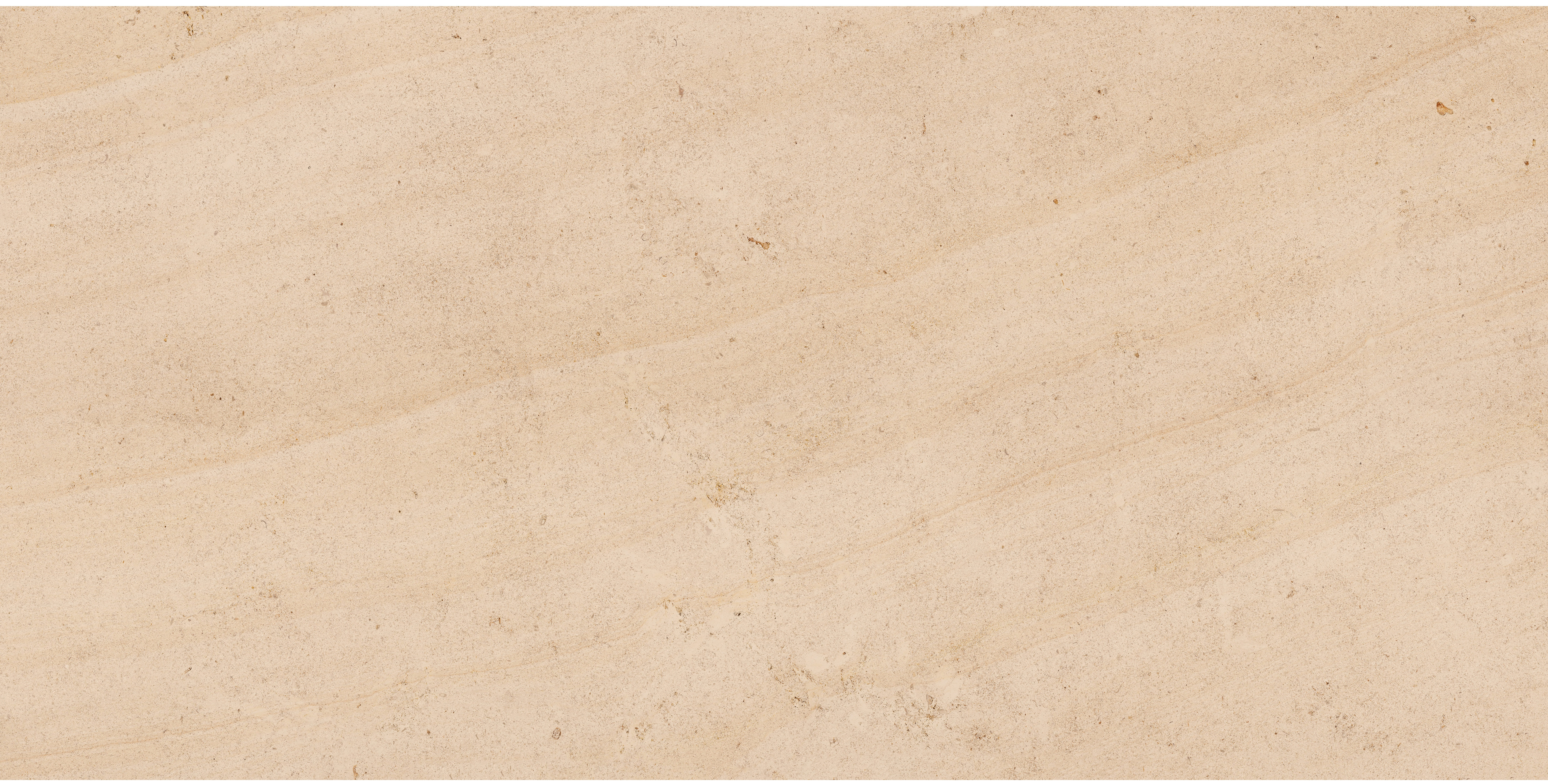 ZEN WOOD